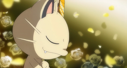 evolucion-de-meowth-todos-los-trucos-flores